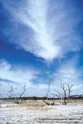 Salinity. Image by Information for Action, a website for conservation and environmental issues offering solutions