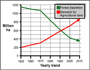 Agriculture and forest. Image by Information for Action, a website for conservation and environmental issues offering solutions