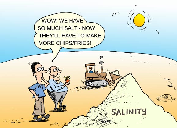 Cartoon - October 2008
