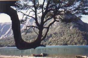 Lake in Chile and earth charter. Image by Information for Action, a website for conservation and environmental issues offering solutions