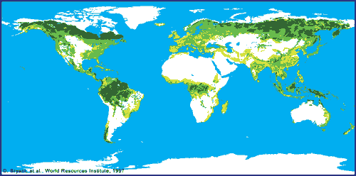 Deforest and forest. Image by Information for Action, a website for conservation and environmental issues offering solutions