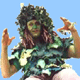 The Green Sower says