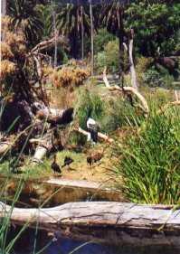 Jann and Genetic Engineering. Image by Information for Action, a website for conservation and environmental issues offering solutions