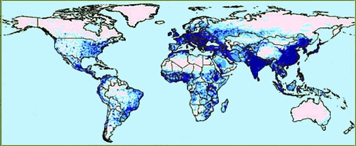 Population density and population growth. Image by Information for Action, a website for conservation and environmental issues offering solutions