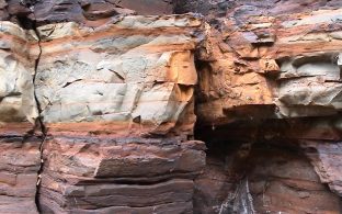Rock wall and car pollution. Image by Information for Action, a website for conservation and environmental issues offering solutions