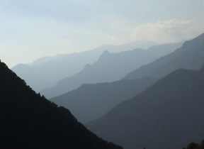 Land and forests russia. Image by Information for Action, a website for conservation and environmental issues offering solutions