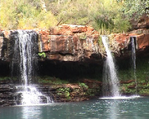 Waterfall and Wetlands. Image by Information for Action, a website for conservation and environmental issues offering solutions